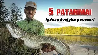 5 patarimai žvejojant lydekas pavasarį.  2025 lydekų žvejybos sezono atidarymas artėja! :)