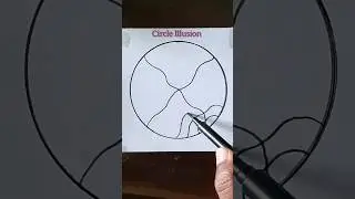 Illusion in circle drawing #shorts #viral #illusionart #circledrawing