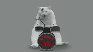 Красный Огурец / Рок-н-ролл кошкин хвост