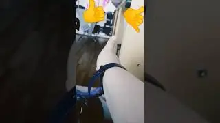 угадай а 😉