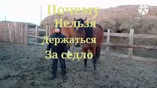 Почему нельзя держаться за седло??