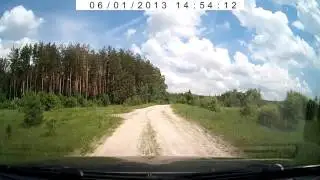 Брянская область. Нашествие бабочек - 2013. The invasion of butterflies...