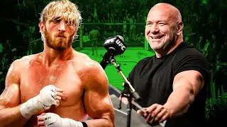 Dana White Can't Say No To Logan Paul In The UFC