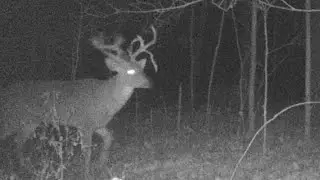 I went hunting!!