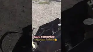Леад Хонда ПОДВИЛА #мопед #moto_sotka #youtube #подпишись #шортс #топ #хондаблог #рекомендации #___