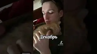Симба младший вырос, но остался болтушкой😸🥺