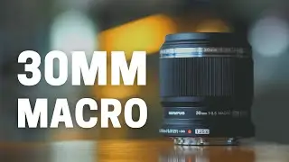 250% Magnification - M.Zuiko 30mm F3.5 Macro