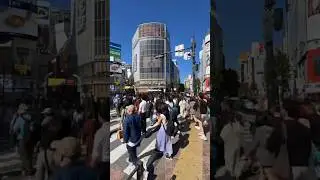 Tokyo Japan: My Day In Port #shorts