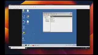 How to run SAP ECC EHP8 in VMware