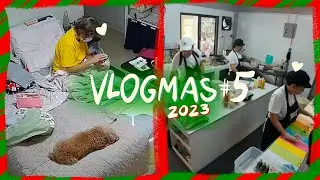 POODLE VLOGMAS 2023 | Home VS Work with Toy Poodles