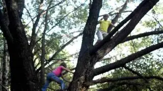 Приучаю лазать по деревьям сестру и ее подружку