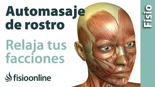 Automasaje de cara o facial - Relaja tus facciones, tu cuerpo y tu mente