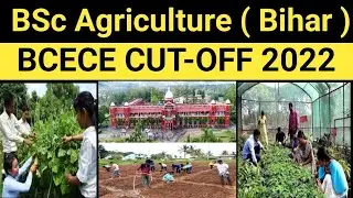 BCECE cut off 2022 | cutoff rank for agriculture 2022 | bcece cut off bsc agriculture