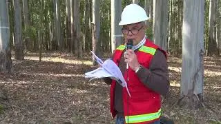 Jornada forestal Zona Norte - F. Resquin - INIA
