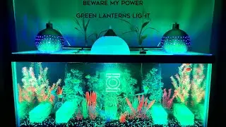 Green Lantern Aquarium 2 year anniversary renovation!