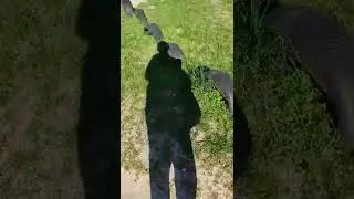 …