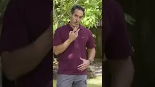 Dog Training Focus Drill | The Beacon Dog Academy