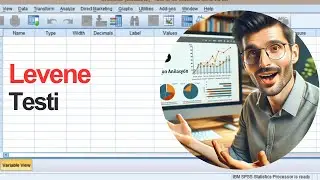 SPSS ile Levene Testi - Varyansların Homojenliği Testi