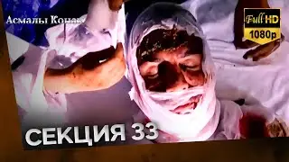 Асмалы Конак Cекция 33 (FULL HD)