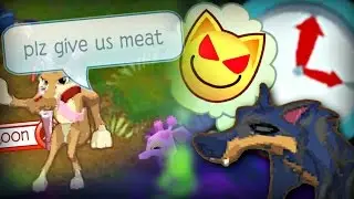 Don't Play Animal Jam at 3 AM?