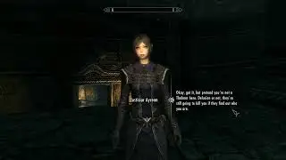 Skyrim Thalmor Follower Mod - Thalmor Justiciar Ayrenn shares her opinion on the Blades
