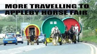 More Travelling To Appleby Horse Fair