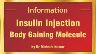 Insulin Injection – Body gaining Molecule  | Medifit Education - Official | Mumbai, India |