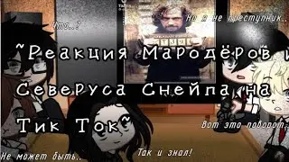 ✨~Реакция Мародёров и Северуса Снейпа на Тик Ток~✨