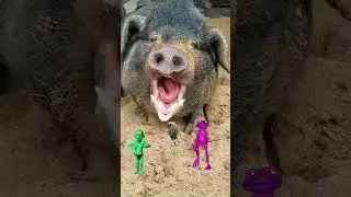 Funny Vfx video