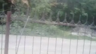 играем