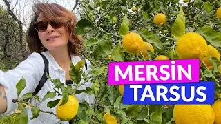 MERSİN / TARSUS - Life is Good for Me with Şenay Akkurt