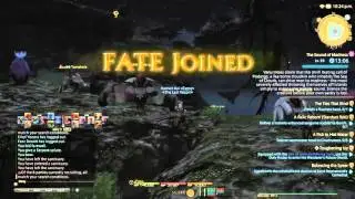FINAL FANTASY XIV flying mounts