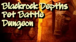 Blackrock Depths Pet Battle Dungeon Guide