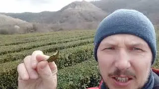 НЯК-П. Отдыхать тоже нужно ...