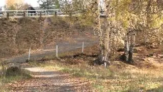 Осенний сад