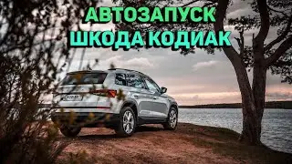 Пуск на холодную - Шкода Кодиак
