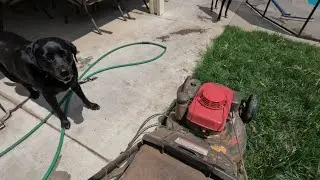 Cut that Grass!