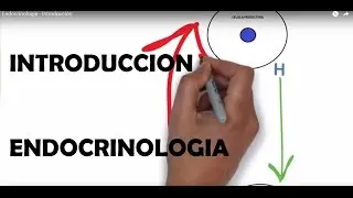Endocrinología  -  Introducción