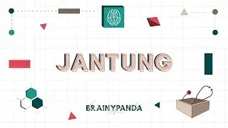 Sistem Kardiovaskular: Jantung | Ilmu Biomedik Dasar | Brainy Panda