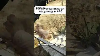POV: КОГДА ВЫШЕЛ НА УЛИЦУ В +40🥵