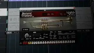 Trumpet VST - Natural Trumpet v4 - Jazz - 