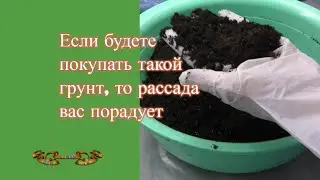 Какой грунт для рассады лучше? Кислотность почвы - кто какую любит? Как раскислять покупной грунт
