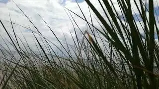 Abschied