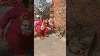 Animal love #trending #viral #ashortaday #animals #baby