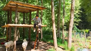 Building Appalachian Homestead (Wasp Sting, Trees Fall, Hoop Dawg, Life)
