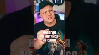Никогда не катайся на слоне, и вот почему 🐘
