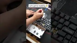Modding the Higround x AOT Keyboard - TTC Titan Heart Switches Lubed