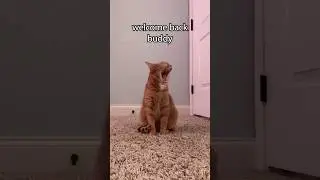 TELL THE OWNER IF HE MISBEHAVES #viral