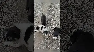 Свежие уличные  новости