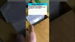 В суде адвокат — судье 